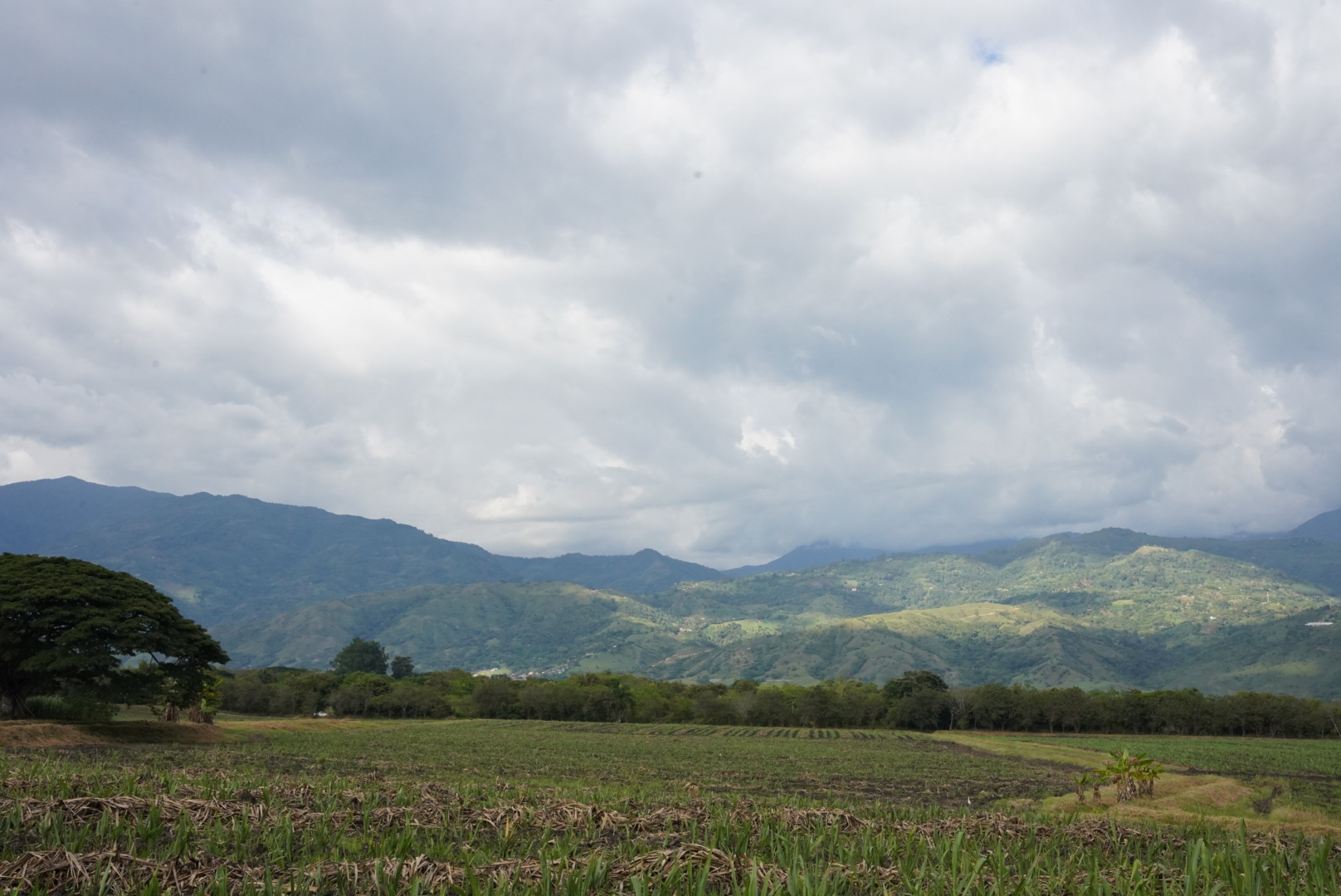 Land