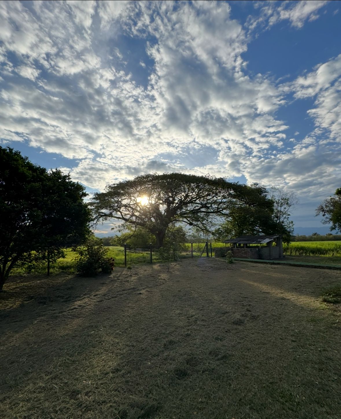 Nature